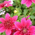 Picasa 2.7
